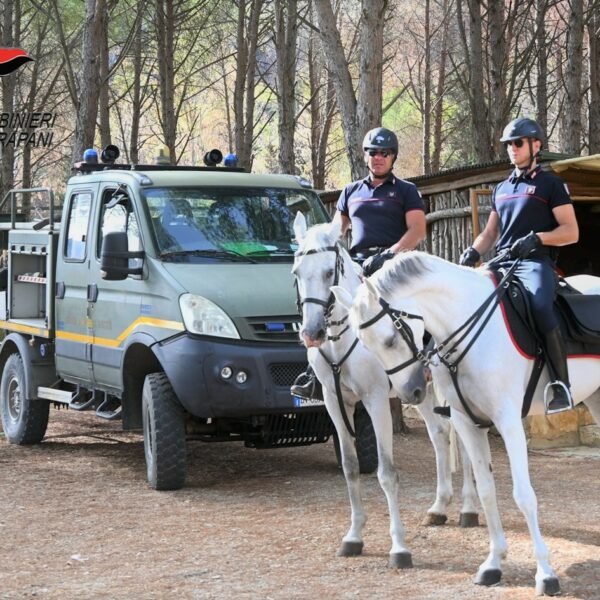 Montagna Grande, pattuglia a cavallo avvista un&hellip;