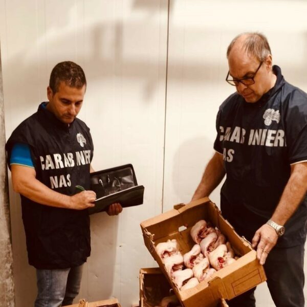 Palermo, il N.A.S. sequestra 5 quintali di&hellip;