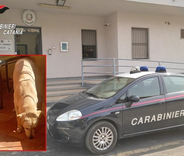 Mascali, lascia il cane sul balcone sotto&hellip;