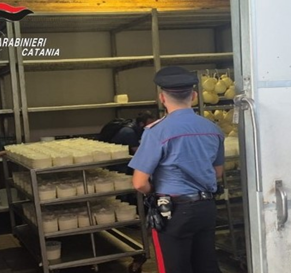 Dal lavoro nero alle irregolarità sanitarie: blitz&hellip;