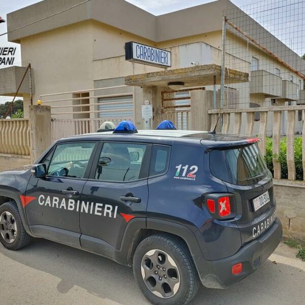 Misiliscemi, appicca un incendio in un terreno&hellip;