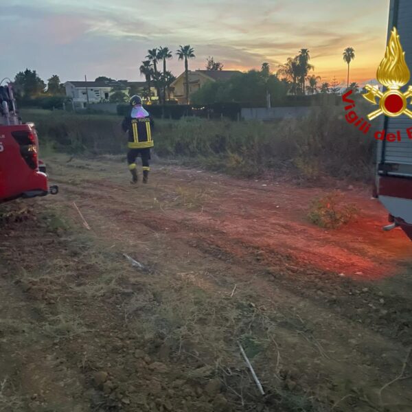 Tragedia nei campi a Partinico: trattore si&hellip;