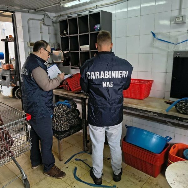 Controlli dei Carabinieri del NAS a Palermo:&hellip;