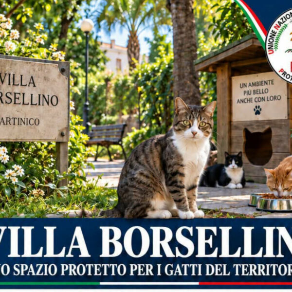 Partinico, 🐾 a Villa Borsellino nasce un’area&hellip;