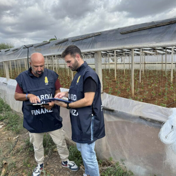 GdiF Trapani: scoperti quindici lavoratori “in nero”&hellip;