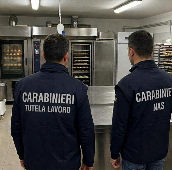 Blatte, muffa e 600 kg di alimenti&hellip;