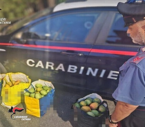Acireale, furto di frutta nei campi di&hellip;