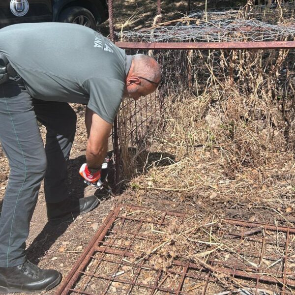 Acquedolci, maxi‑trappola per cinghiali sequestrata dalla Polizia&hellip;