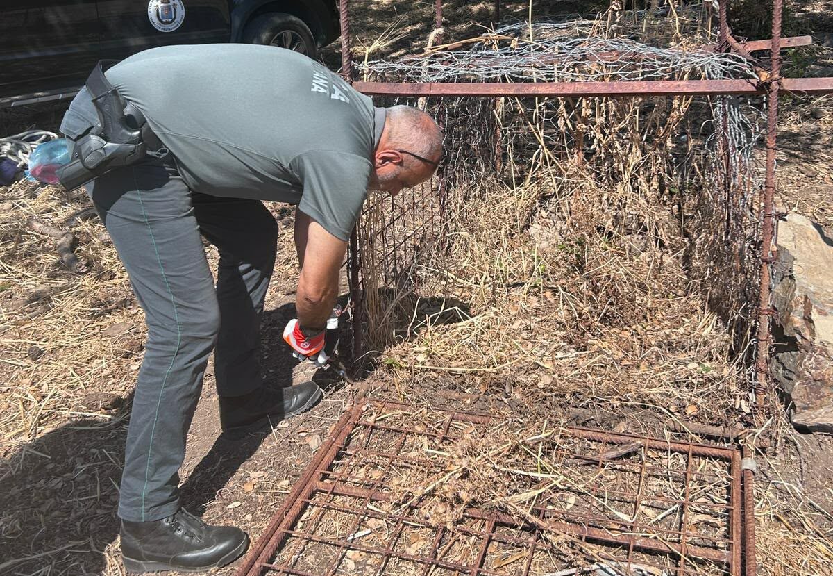 Acquedolci, maxi‑trappola per cinghiali sequestrata dalla Polizia&hellip;