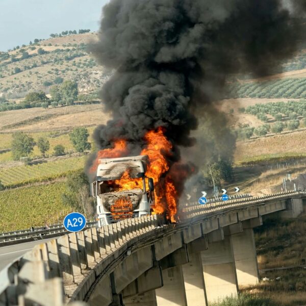A29 diramazione Alcamo-Trapani: tir in avaria vicino&hellip;