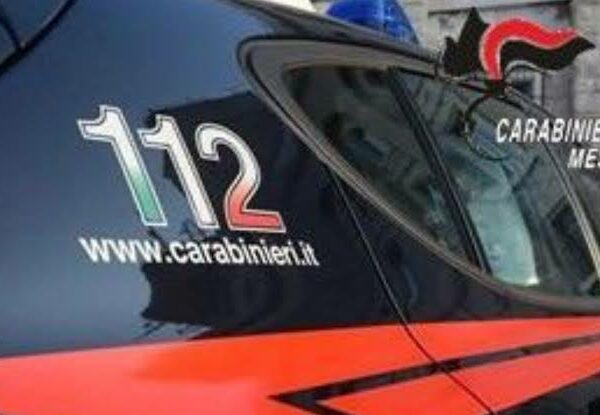 Settecento litri di gasolio in 30 taniche:&hellip;