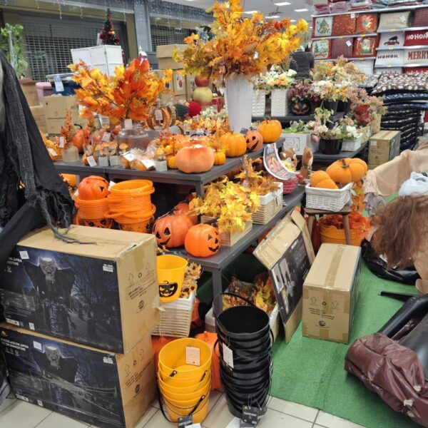 Agrigento, operazione “Halloween sicuro”: la Guardia di&hellip;