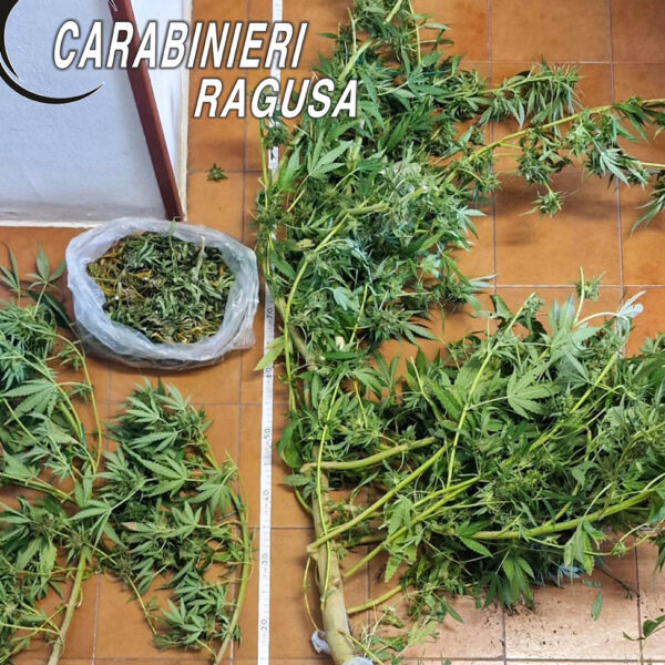 Scoperta serra indoor in contrada Donnagona: 54enne&hellip;