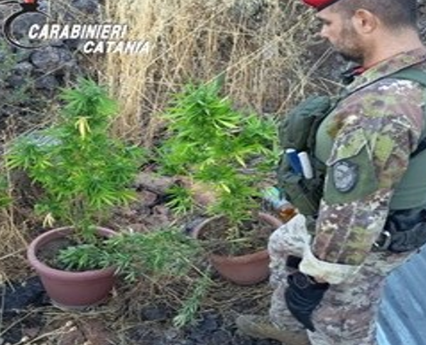 Coltivava marijuana in Contrada Cipollazzo: 56enne di&hellip;