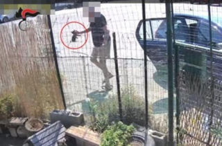 Riposto, lancia quattro cuccioli oltre il cancello della colonia felina: incastrato dalle telecamere