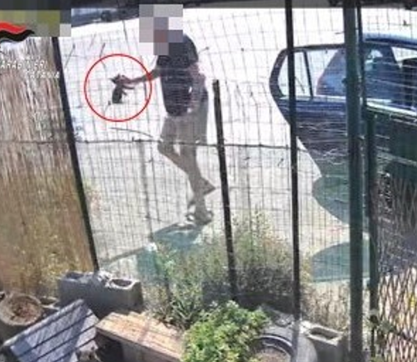 Riposto, lancia quattro cuccioli oltre il cancello&hellip;