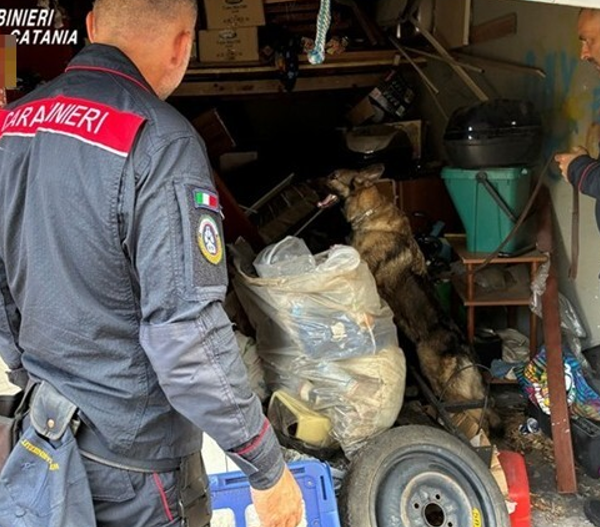 Nasconde crack, cocaina e marijuana tra i&hellip;