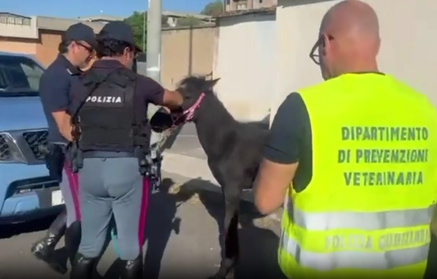 Stalla abusiva sulla strada al Villaggio Sant’Agata,&hellip;