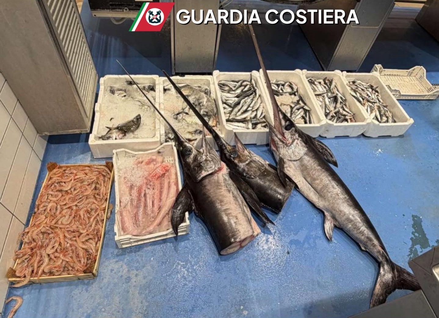 Manca la tracciabilità del pescato: la Guardia&hellip;
